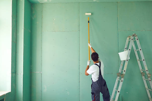 Best Repainting for Renovations  in Lipatria, CA